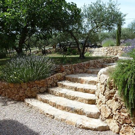Mas De L'Olivette Bed and Breakfast Cotignac Eksteriør billede