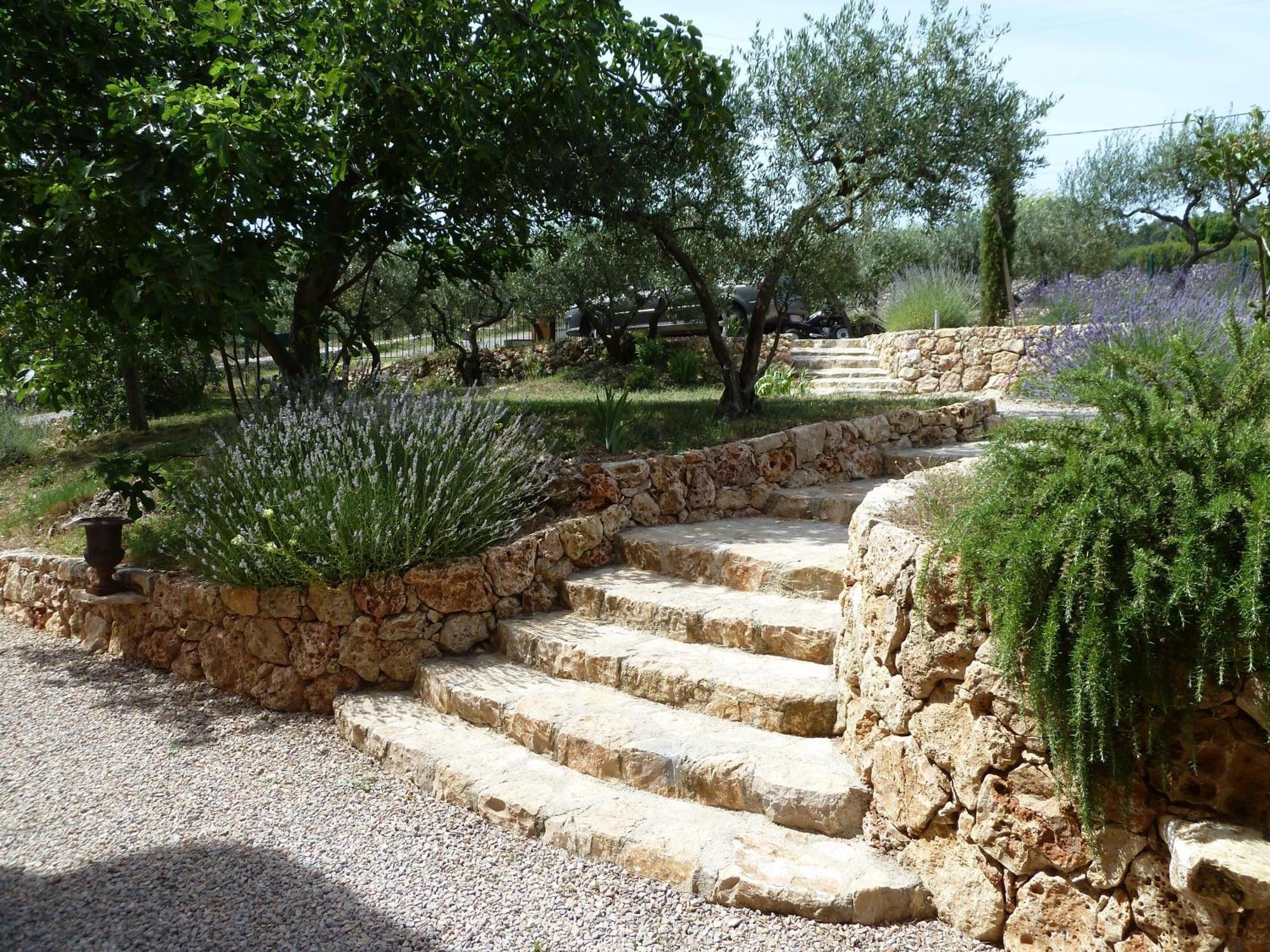 Mas De L'Olivette Bed and Breakfast Cotignac Eksteriør billede